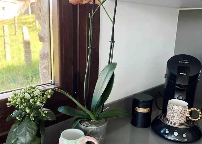 Cesantes Village E * Ποντεβέντρα